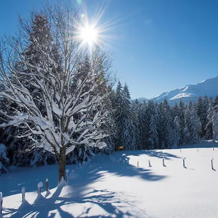 Alpennest Kirchberg -ruhige Lage In Den Alpen Daire Kirchberg in Tirol